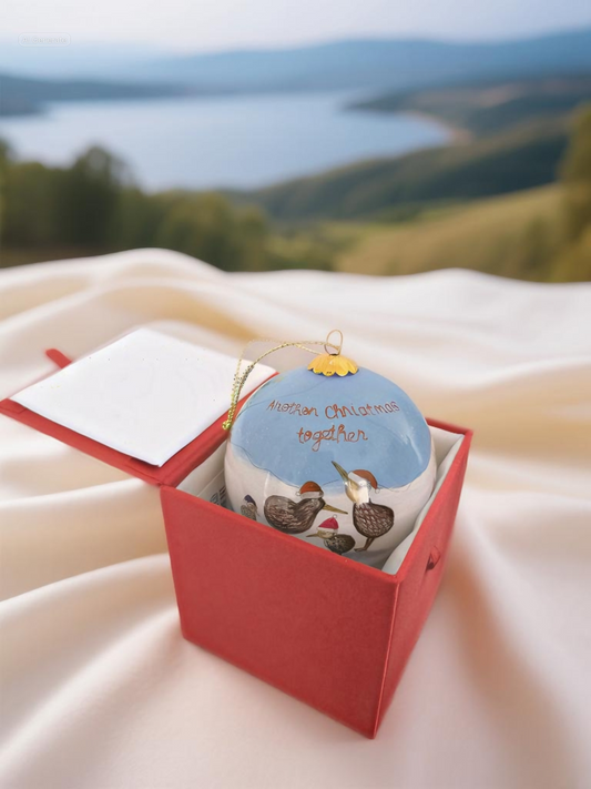 Hand-painted Kiwi family Christmas bauble with message “Another Christmas Together.